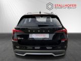 Skoda Kamiq bei Gebrauchtwagen.expert - Abbildung (4 / 15)