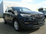 Opel Grandland X bei Gebrauchtwagen.expert - Abbildung (2 / 10)