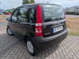 Fiat Panda bei Gebrauchtwagen.expert - Abbildung (11 / 15) Fiat Panda bei Gebrauchtwagen.expert - Abbildung (11 / 15)