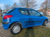 Peugeot 206 bei Gebrauchtwagen.expert - Abbildung (6 / 15)