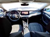 Skoda Octavia bei Gebrauchtwagen.expert - Abbildung (10 / 15)