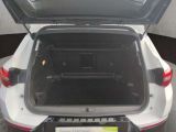 Opel Grandland X bei Gebrauchtwagen.expert - Abbildung (6 / 15)