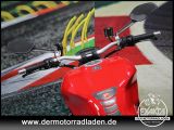 Ducati Monster bei Gebrauchtwagen.expert - Abbildung (9 / 15)