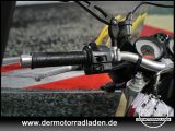 Ducati Monster bei Gebrauchtwagen.expert - Abbildung (12 / 15)