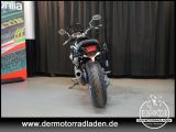 Moto Guzzi Griso 8V bei Gebrauchtwagen.expert - Abbildung (4 / 15)