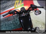 Harley-Davidson Sportster bei Gebrauchtwagen.expert - Abbildung (11 / 15)