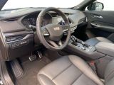Cadillac XT4 bei Gebrauchtwagen.expert - Abbildung (11 / 15)
