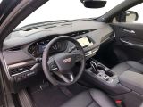 Cadillac XT4 bei Gebrauchtwagen.expert - Abbildung (11 / 15)