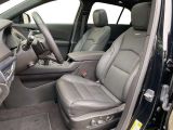 Cadillac XT4 bei Gebrauchtwagen.expert - Abbildung (10 / 15)