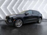 Cadillac XT4 bei Gebrauchtwagen.expert - Abbildung (4 / 15)