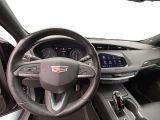 Cadillac XT4 bei Gebrauchtwagen.expert - Abbildung (14 / 15)