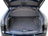 Cadillac XT4 bei Gebrauchtwagen.expert - Abbildung (6 / 15)