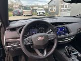 Cadillac XT4 bei Gebrauchtwagen.expert - Abbildung (14 / 15)