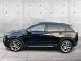 Cadillac XT4 bei Gebrauchtwagen.expert - Abbildung (8 / 15)