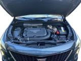 Cadillac XT4 bei Gebrauchtwagen.expert - Abbildung (10 / 15)