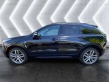 Cadillac XT4 bei Gebrauchtwagen.expert - Abbildung (7 / 15)
