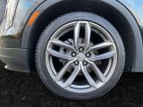 Cadillac XT4 bei Gebrauchtwagen.expert - Abbildung (5 / 15)