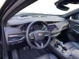 Cadillac XT4 bei Gebrauchtwagen.expert - Abbildung (11 / 15)