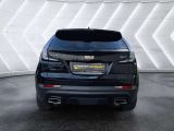 Cadillac XT4 bei Gebrauchtwagen.expert - Abbildung (8 / 15)