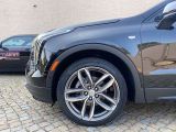 Cadillac XT4 bei Gebrauchtwagen.expert - Abbildung (4 / 15)
