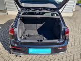 VW Golf VIII bei Gebrauchtwagen.expert - Abbildung (9 / 15) VW Golf VIII bei Gebrauchtwagen.expert - Abbildung (9 / 15)