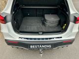 Mercedes-Benz EQA bei Gebrauchtwagen.expert - Abbildung (15 / 15)