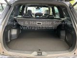 Subaru Forester bei Gebrauchtwagen.expert - Abbildung (14 / 15)