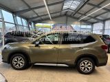 Subaru Forester bei Gebrauchtwagen.expert - Abbildung (6 / 15)