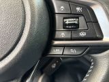 Subaru Outback bei Gebrauchtwagen.expert - Abbildung (12 / 15)