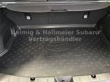 Subaru XV bei Gebrauchtwagen.expert - Abbildung (10 / 15)