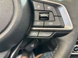 Subaru Forester bei Gebrauchtwagen.expert - Abbildung (11 / 15) Subaru Forester bei Gebrauchtwagen.expert - Abbildung (11 / 15)