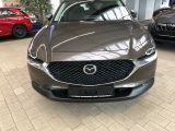 Mazda CX-30 bei Gebrauchtwagen.expert - Abbildung (3 / 15)