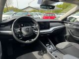 Skoda Octavia bei Gebrauchtwagen.expert - Abbildung (13 / 15)