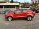 Ford EcoSport bei Gebrauchtwagen.expert - Abbildung (13 / 15)