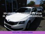 Skoda Octavia bei Gebrauchtwagen.expert - Abbildung (3 / 15)