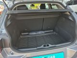 Citroen C4 Cactus bei Gebrauchtwagen.expert - Abbildung (7 / 15)