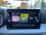 Seat Ibiza bei Gebrauchtwagen.expert - Abbildung (15 / 15)