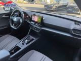 Seat Leon bei Gebrauchtwagen.expert - Abbildung (12 / 15)