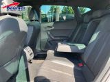 Cupra Formentor bei Gebrauchtwagen.expert - Abbildung (11 / 15)