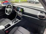 Cupra Formentor bei Gebrauchtwagen.expert - Abbildung (11 / 15)