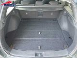 Hyundai i30 bei Gebrauchtwagen.expert - Abbildung (11 / 15)