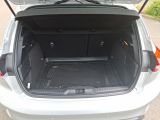 Ford Focus ST bei Gebrauchtwagen.expert - Abbildung (12 / 14)