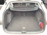 VW Golf VIII bei Gebrauchtwagen.expert - Abbildung (13 / 15)