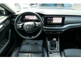 Skoda Octavia bei Gebrauchtwagen.expert - Abbildung (6 / 15)