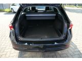 Skoda Octavia bei Gebrauchtwagen.expert - Abbildung (12 / 15)