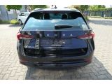 Skoda Octavia bei Gebrauchtwagen.expert - Abbildung (14 / 15)