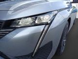 Peugeot 308 bei Gebrauchtwagen.expert - Abbildung (11 / 15)