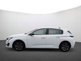 Peugeot 308 bei Gebrauchtwagen.expert - Abbildung (4 / 12)