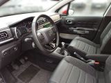 Citroen C3 bei Gebrauchtwagen.expert - Abbildung (14 / 14)