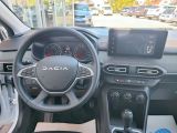 Dacia Sandero bei Gebrauchtwagen.expert - Abbildung (9 / 15) Dacia Sandero bei Gebrauchtwagen.expert - Abbildung (9 / 15)